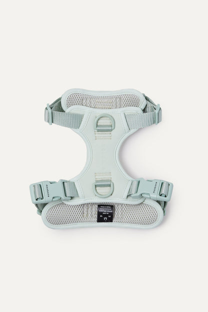 Hazel Leash Bundle