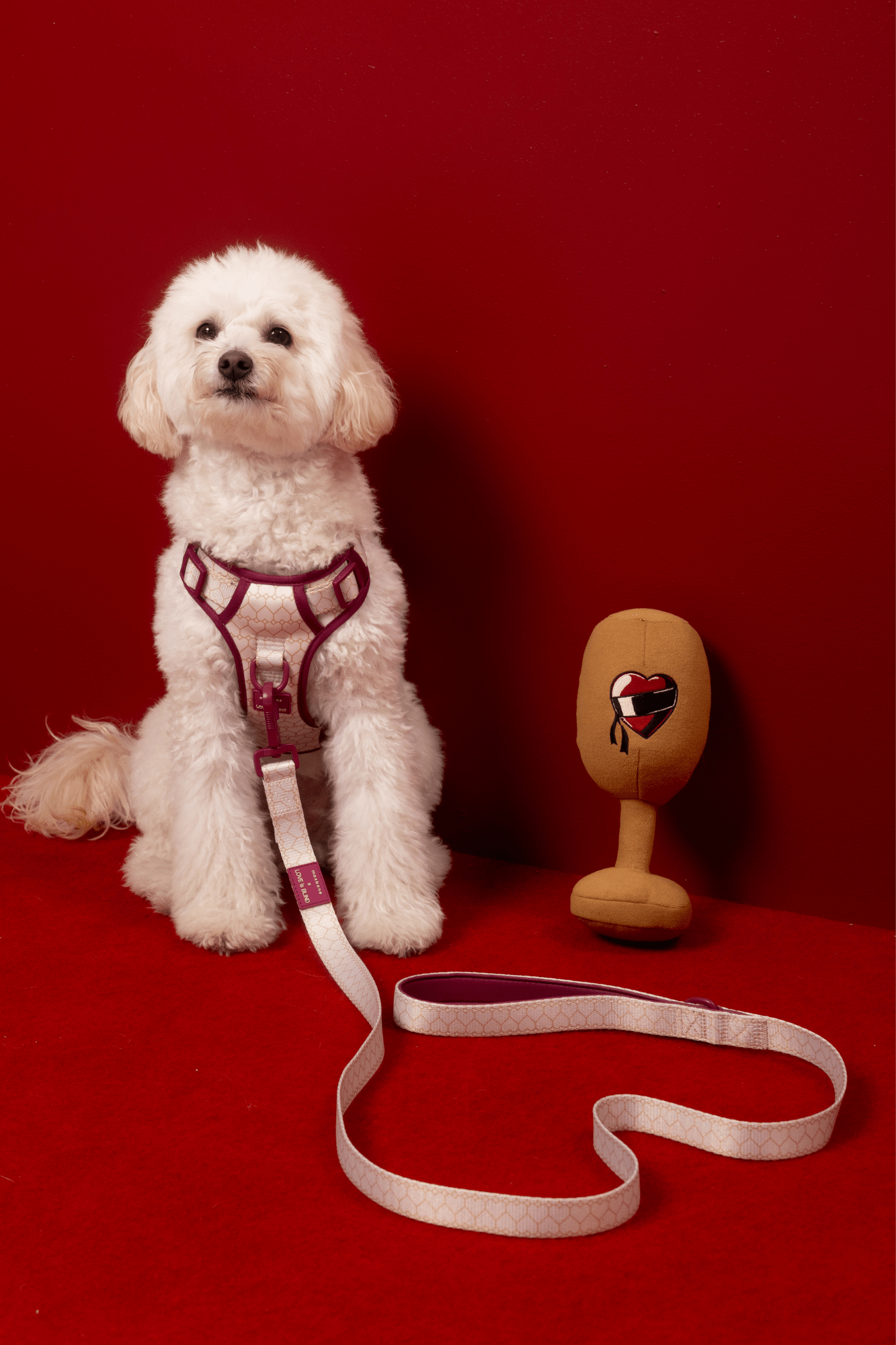 Love Is Blind x maxbone Walk Set