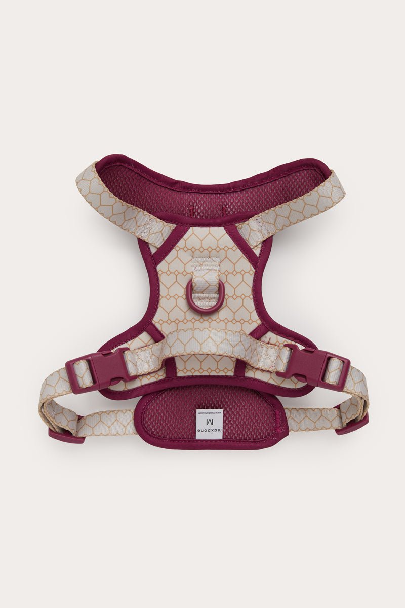 Love Is Blind x maxbone Walk Set