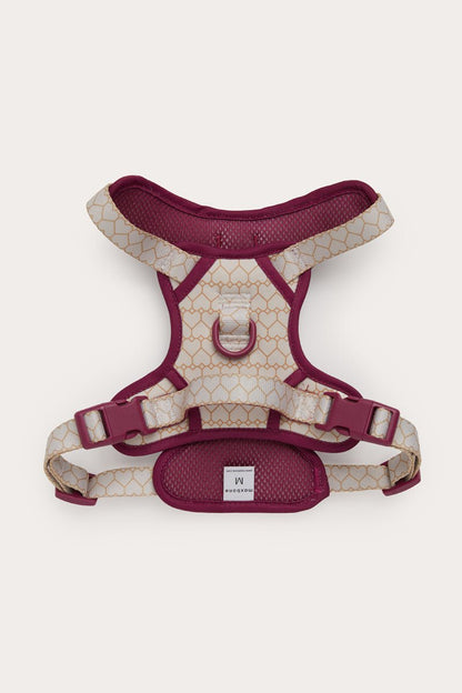 Love Is Blind x maxbone Walk Set
