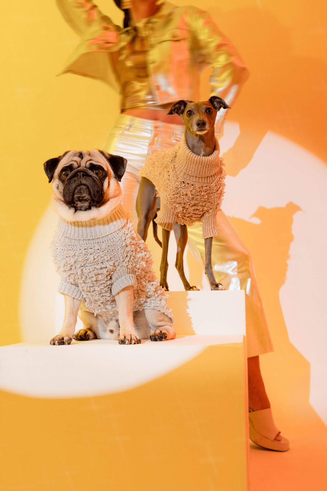Metallic Curly Knit Sweater