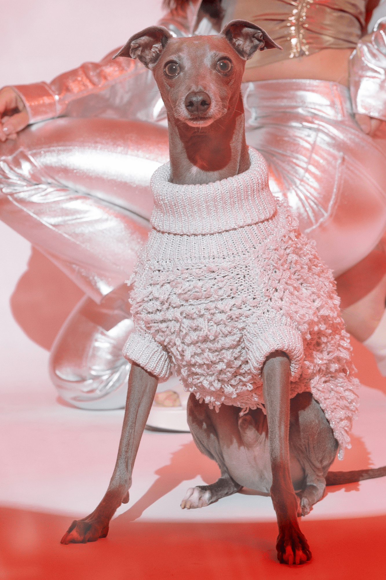 Metallic Curly Knit Sweater