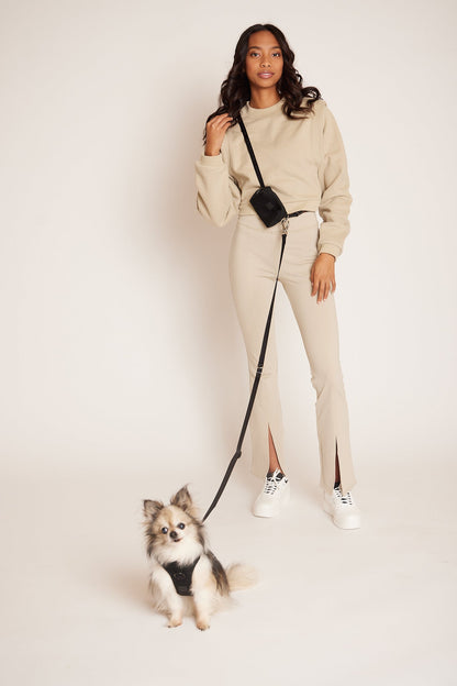 Mini GO! With Ease Hands Free Leash