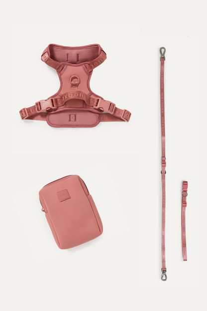 Go! With Ease Leash Bundle