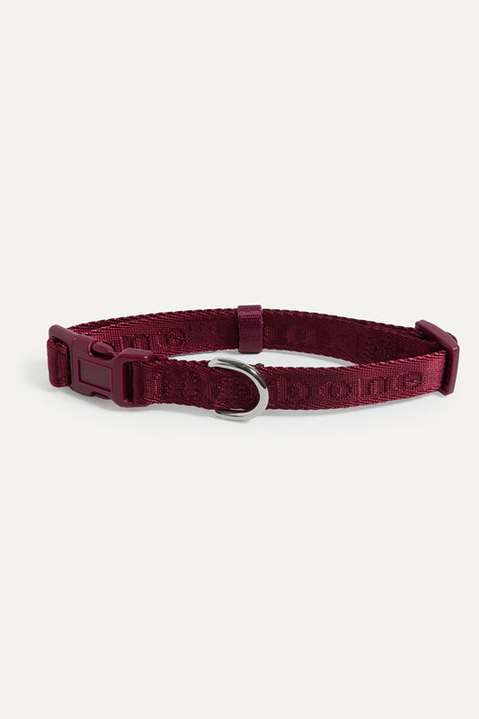 Signature Collar
