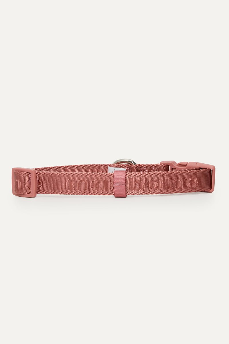 Signature Collar