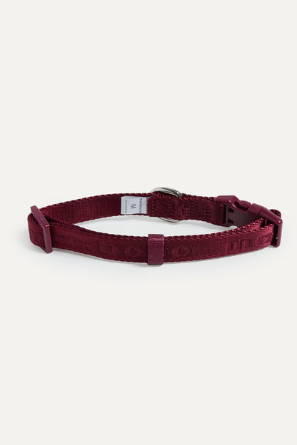 Signature Collar