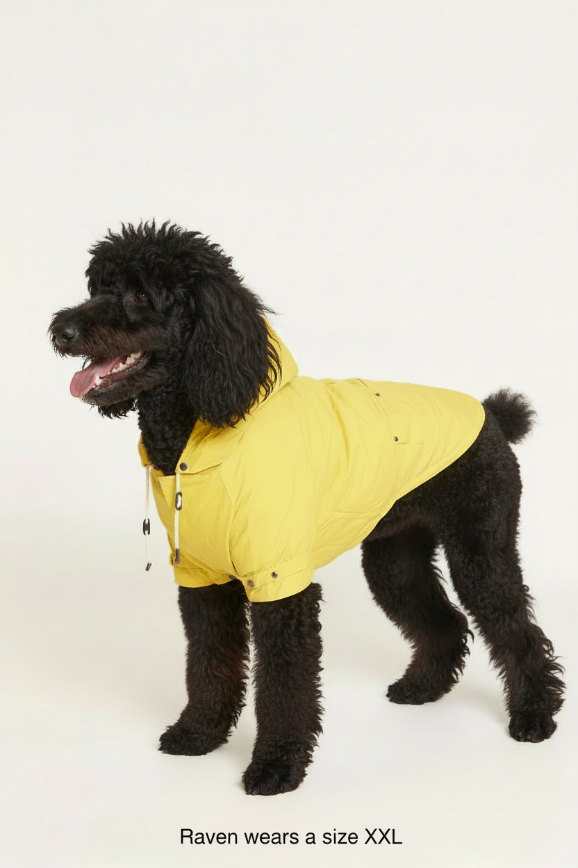 Talon Rain Jacket