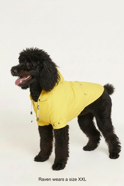 Talon Rain Jacket