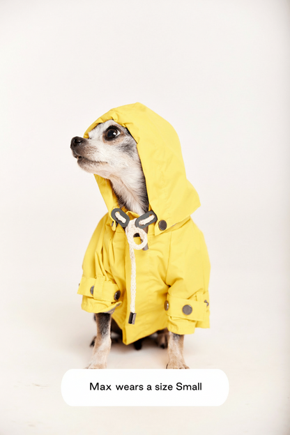 Talon Rain Jacket