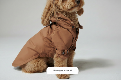 Talon Rain Jacket
