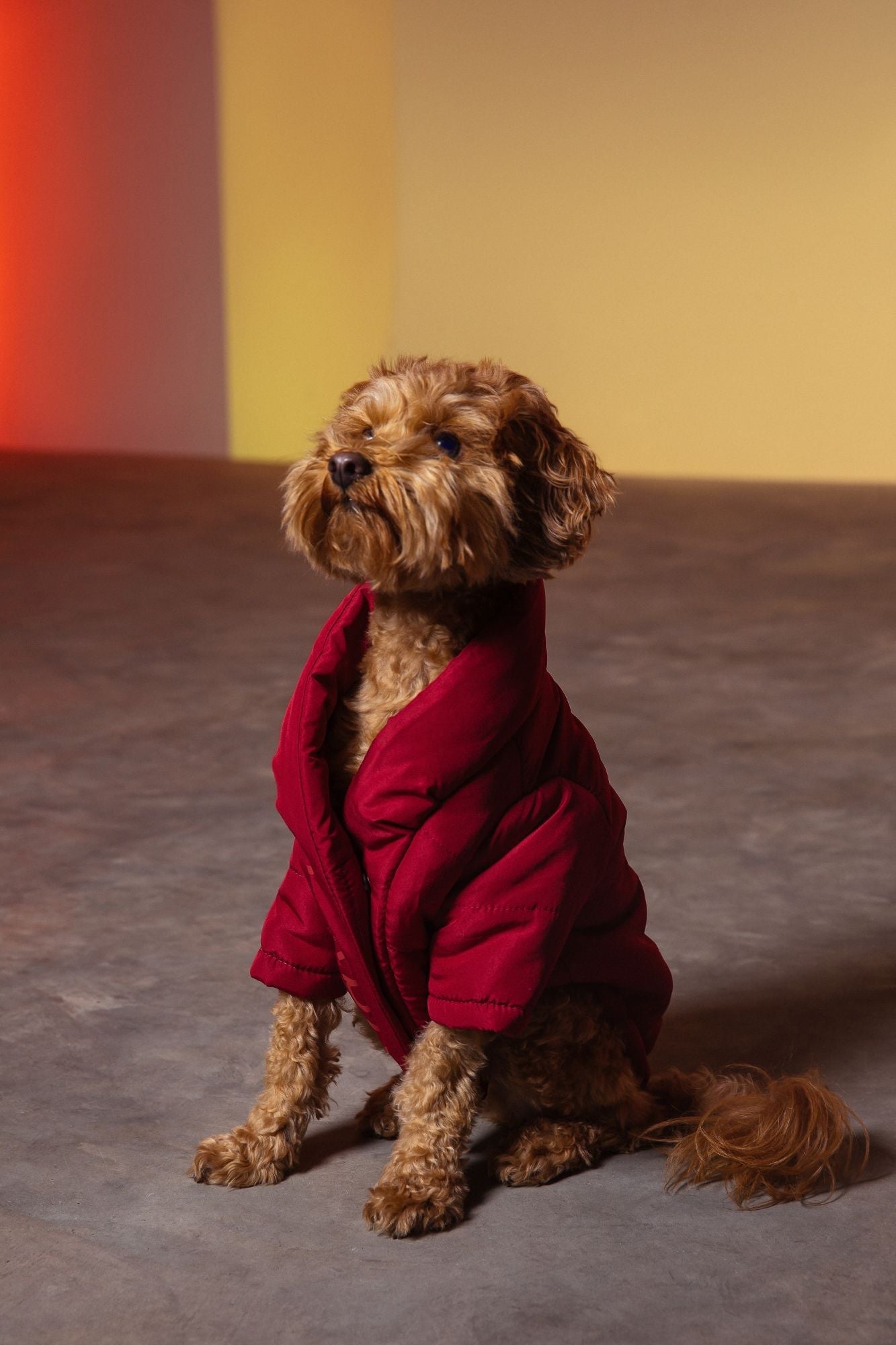 Wrap Puffer Coat